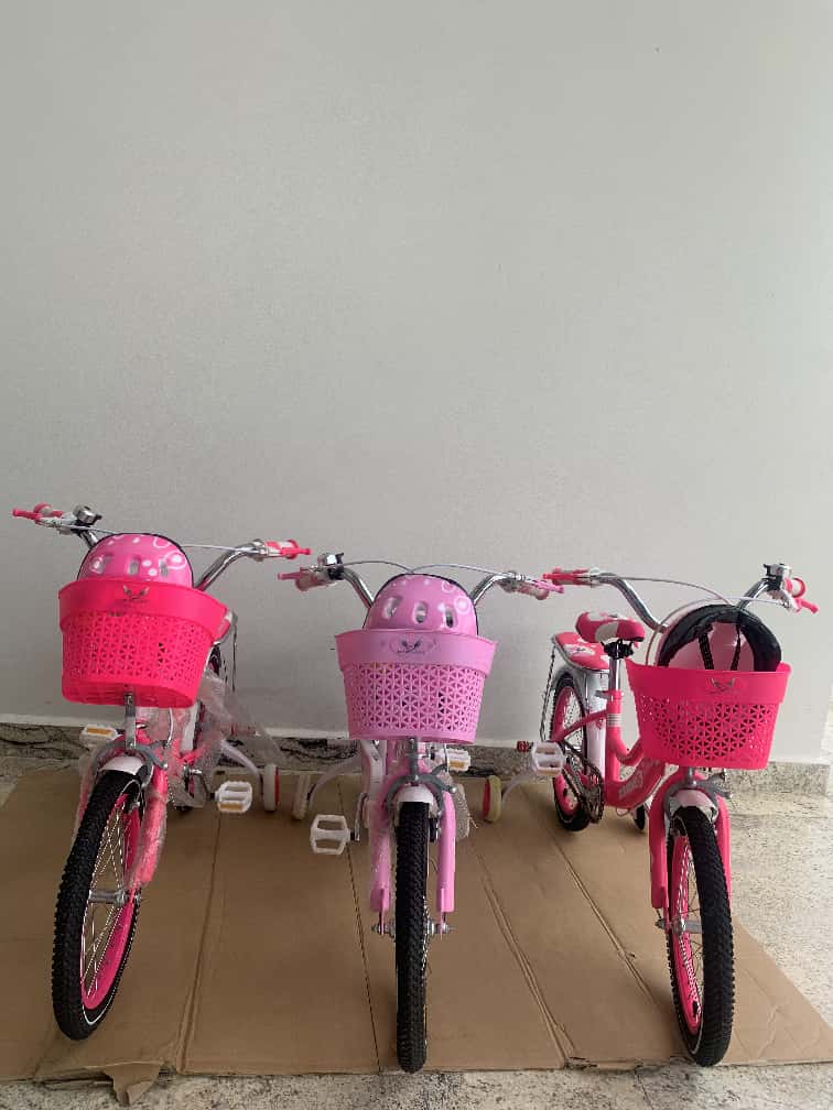 Angel Pink Bicycle Size 16